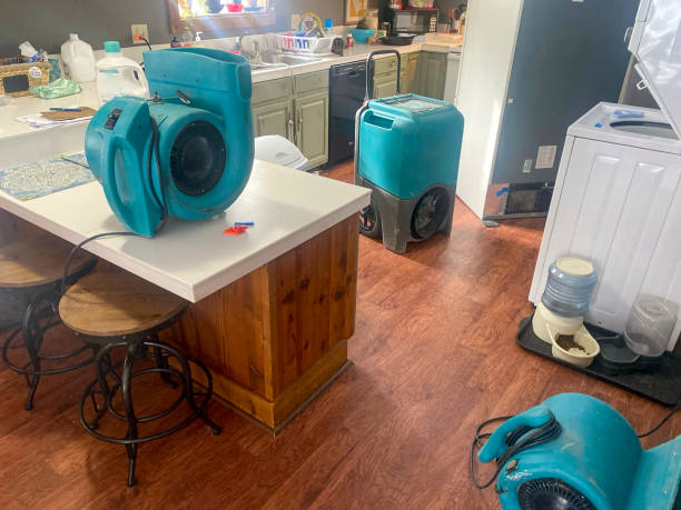 Best Water damage mitigation services  in Vassar College, NY