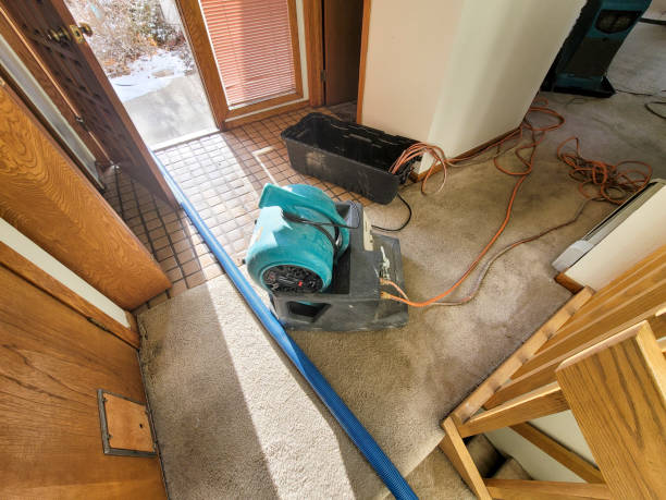 Best Professional water damage repair  in Vassar College, NY
