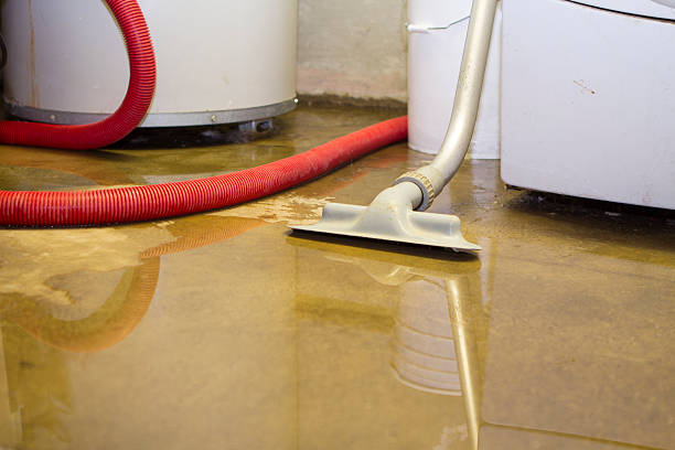 Best Sewage cleanup and water damage restoration  in Vassar College, NY