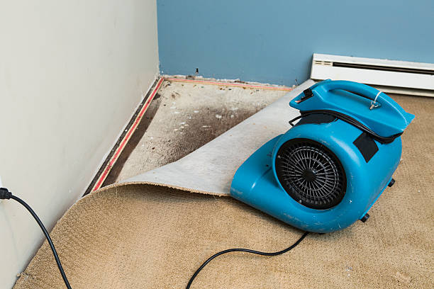 Best Basement water damage restoration  in Vassar College, NY